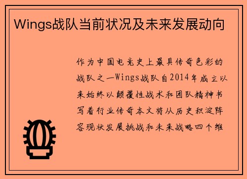 Wings战队当前状况及未来发展动向