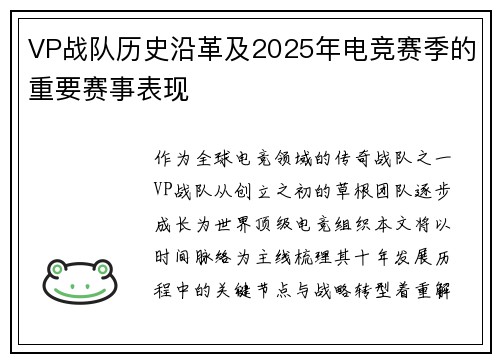 VP战队历史沿革及2025年电竞赛季的重要赛事表现